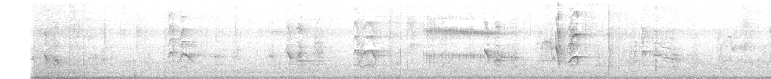 hårdrongo - ML653691626
