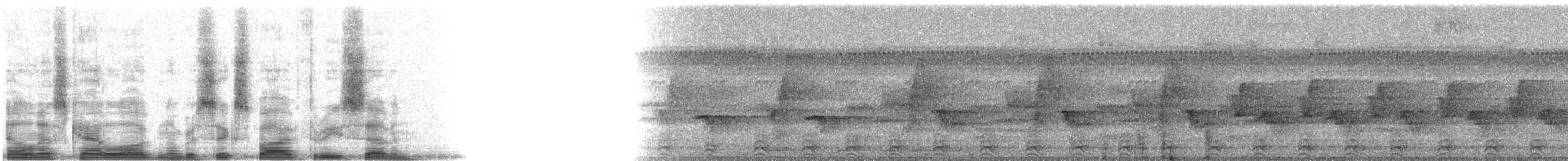 Slaty-tailed Trogon (Massena) - ML6537