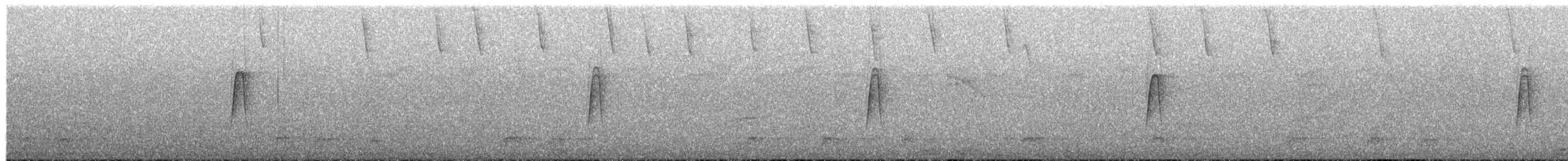 חטפית ירקרקה - ML653700528