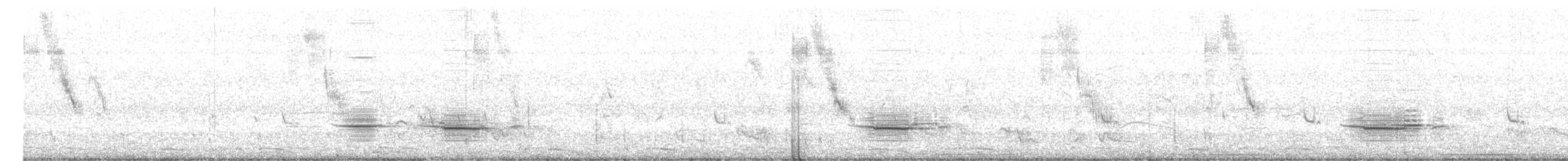 White-bellied Nothura - ML653725059