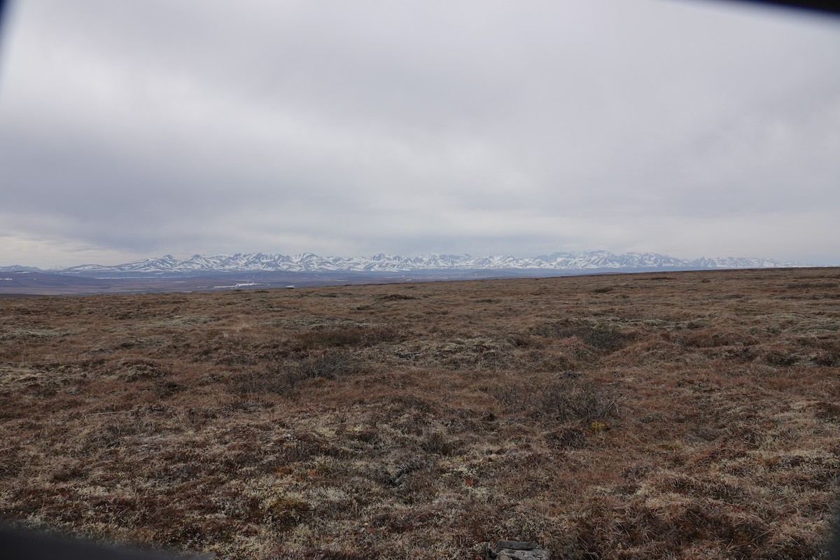 null - ML653748162