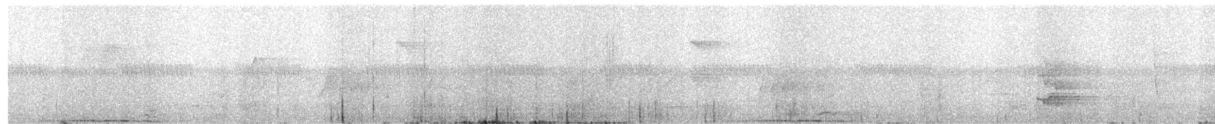 Андаманский вяхирь - ML653761938