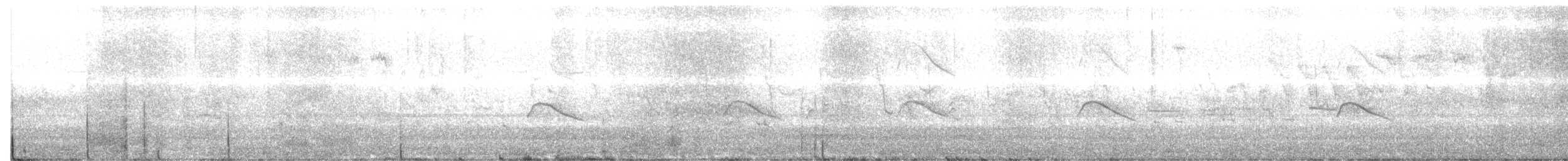 Western Marsh Harrier - ML653762681