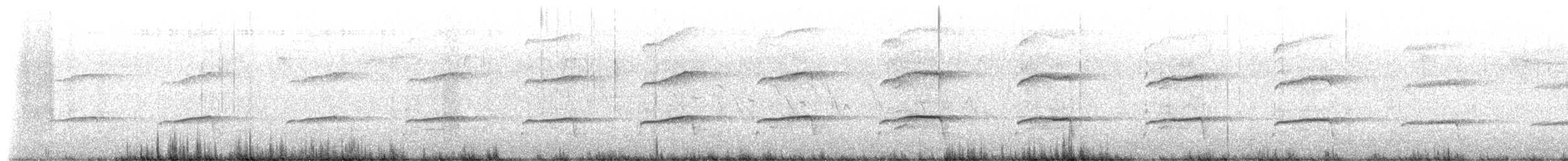 Fischadler (carolinensis) - ML653764247