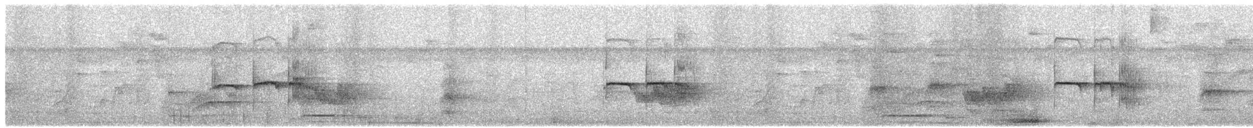sørglattyrannulett - ML653770206