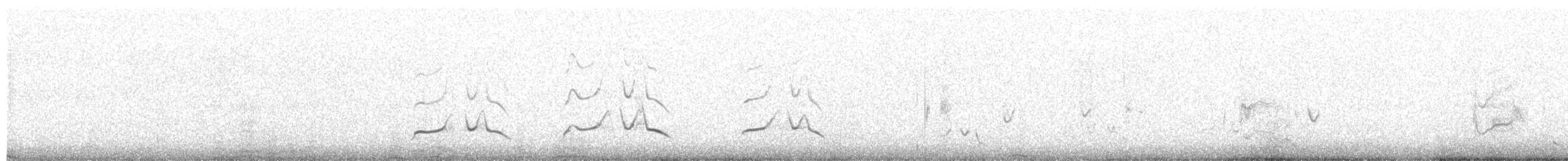 オウサマペンギン - ML653776873