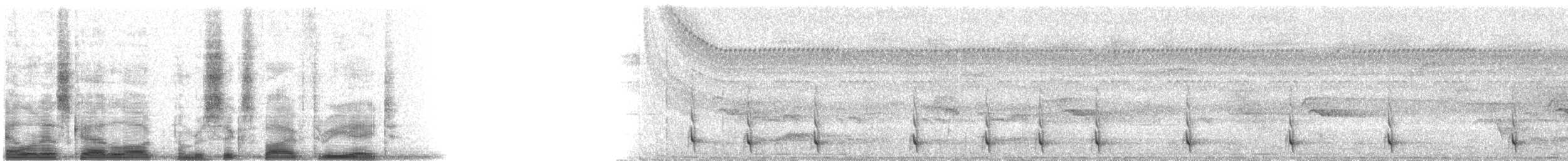 Slaty-tailed Trogon (Massena) - ML6538