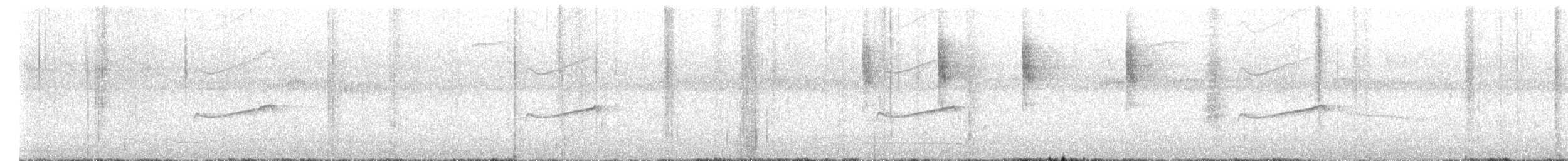 Eastern Wood-Pewee - ML653802661