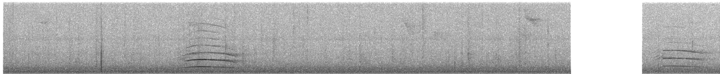 Kastanienbauchadler - ML653806496