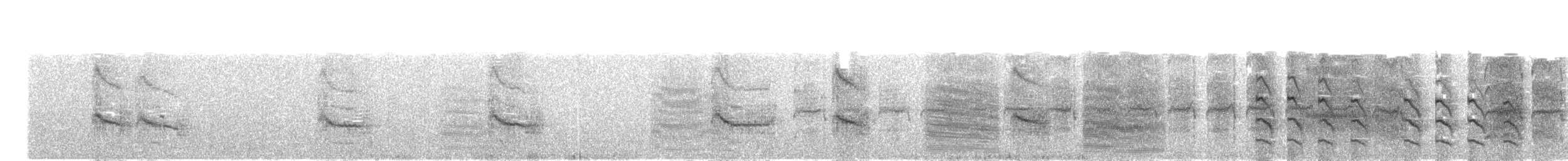 Forster's Tern - ML65381631
