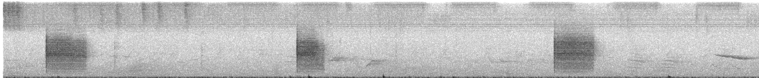 Bearded Scrub-Robin (Bearded) - ML653820273