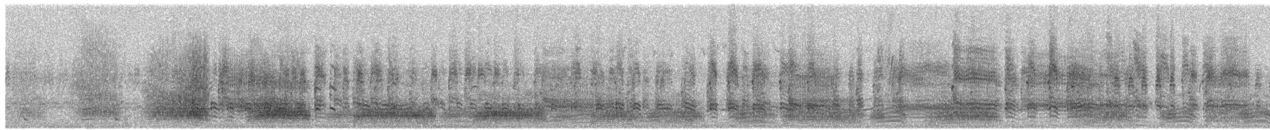 svarthodehegre - ML653829546