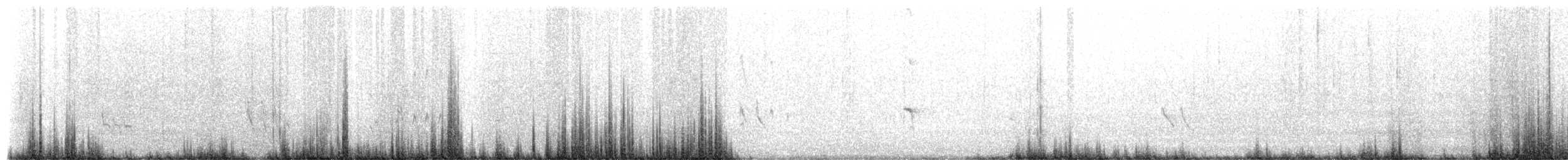 Short-billed Dowitcher - ML653836663