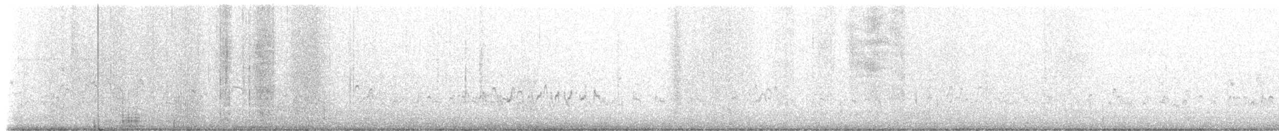 Western Sandpiper - ML653836701