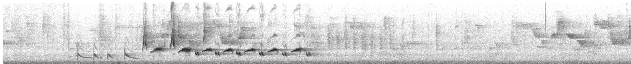 drozdec modrobílý - ML653847275