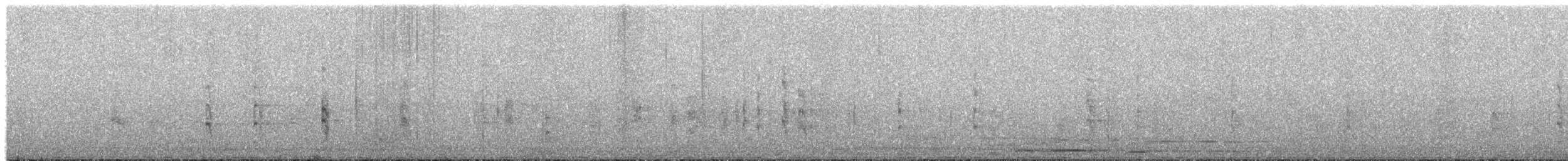 faeton pruhokřídlý (ssp. dorotheae) - ML653892523
