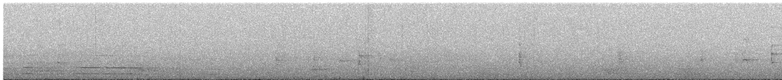 faeton pruhokřídlý (ssp. dorotheae) - ML653892524