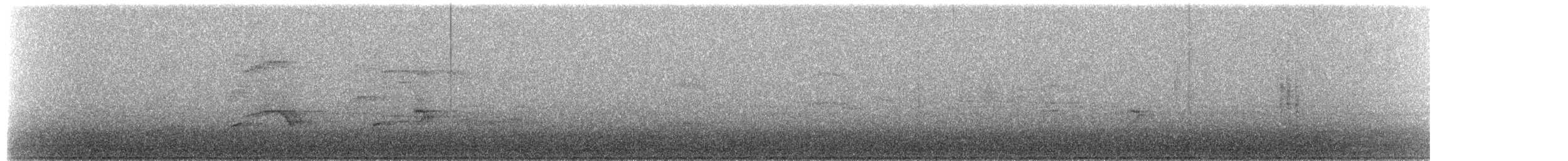 Buteo, unbestimmt - ML653999175