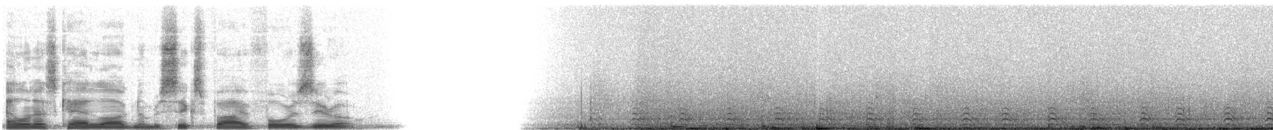 Slaty-tailed Trogon (Massena) - ML6540