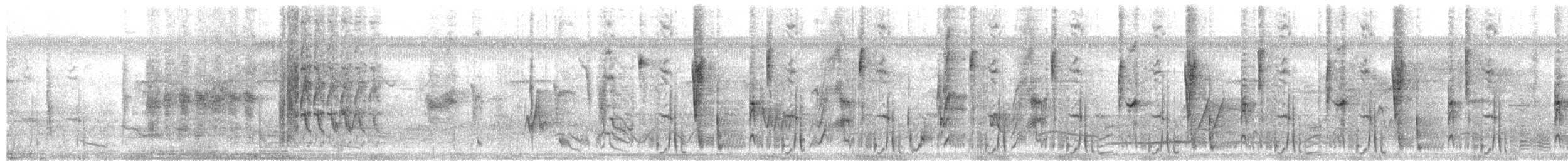 Wedge-tailed Sabrewing - ML654000495