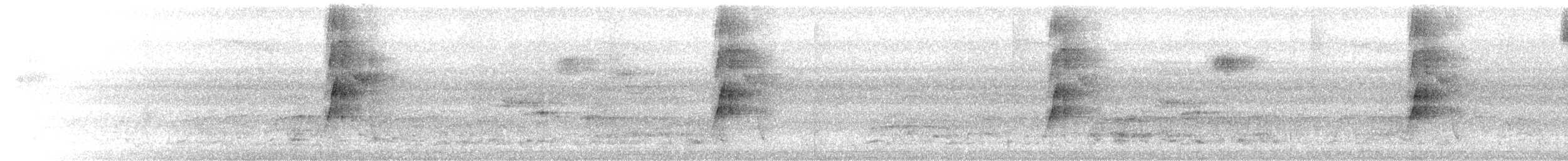 Sülfür Karınlı Tiran - ML654011044