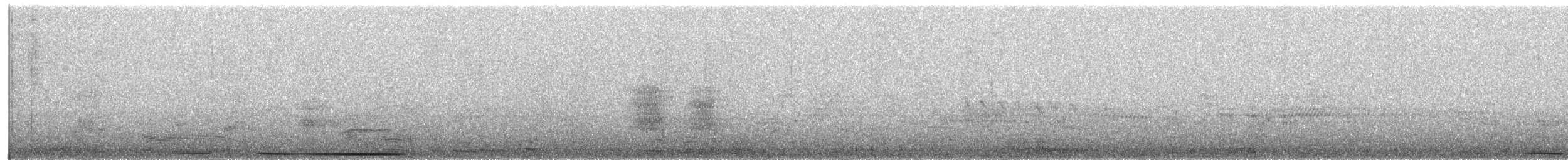 White-tipped Dove - ML654015739