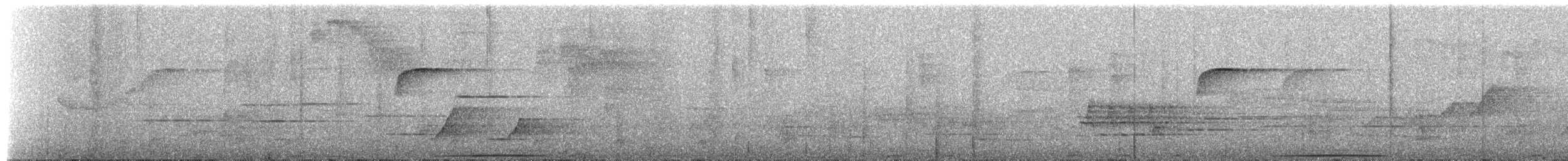 White-faced Quail-Dove - ML654030218