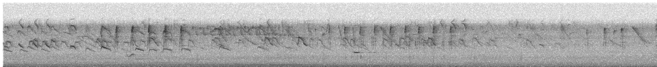 Black-and-white Mannikin (Red-backed) - ML654032934