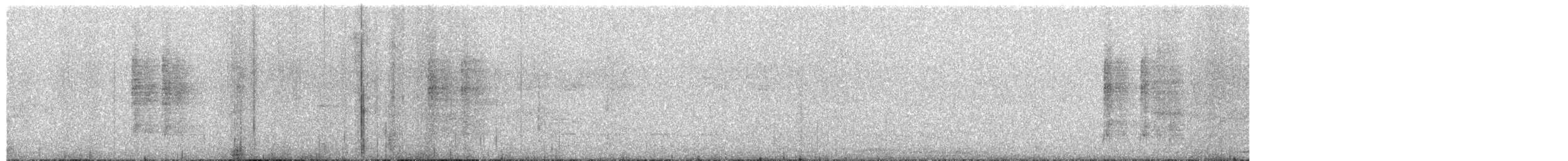 White-collared Blackbird - ML654035412