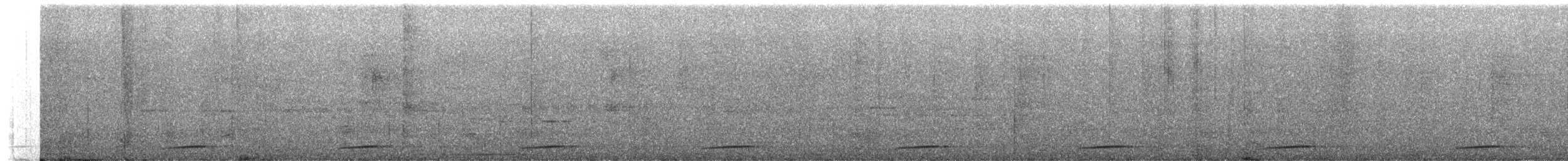 Tody Motmot - ML654056673