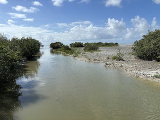 Everglades NP--Snake Bight Trail, Monroe, Florida, United States ...