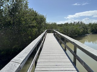 Everglades NP--Snake Bight Trail, Monroe, Florida, United States ...
