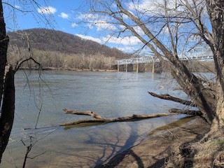 C&O Canal--Point of Rocks, Frederick, Maryland, United States - eBird ...