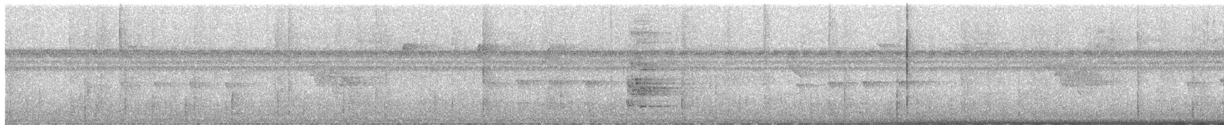 Western Woodhaunter - ML654136644