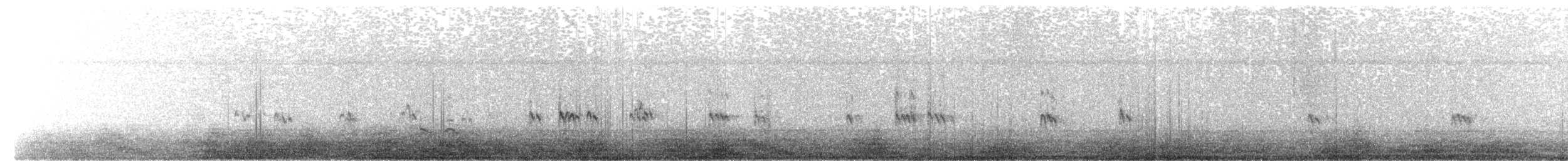Baird's Sandpiper - ML654142494