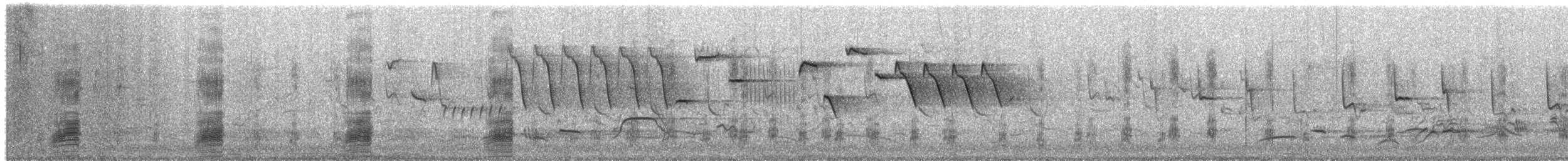 Stockente - ML654163425