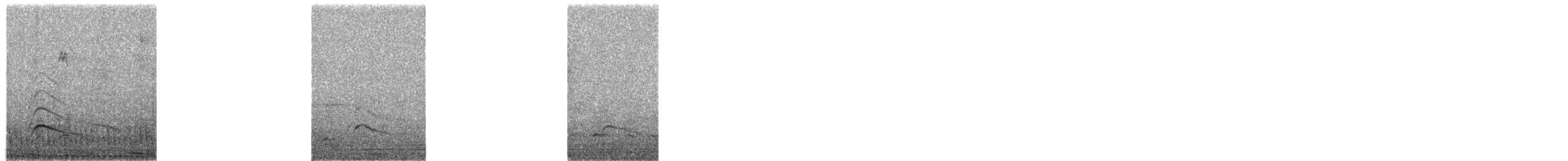 Buteo, unbestimmt - ML654178803