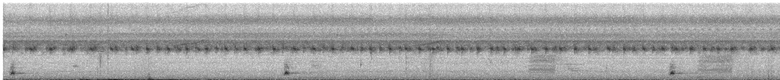 barbet bělolící - ML654190461