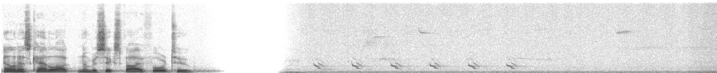 Mountain Trogon - ML6542