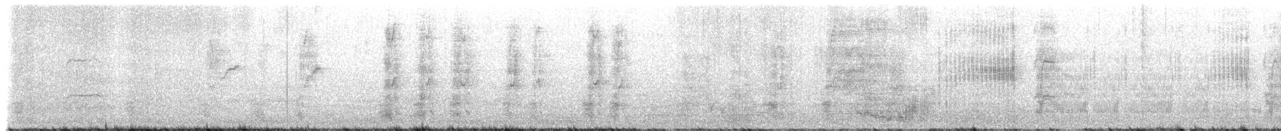 Satin Bowerbird - ML654241398