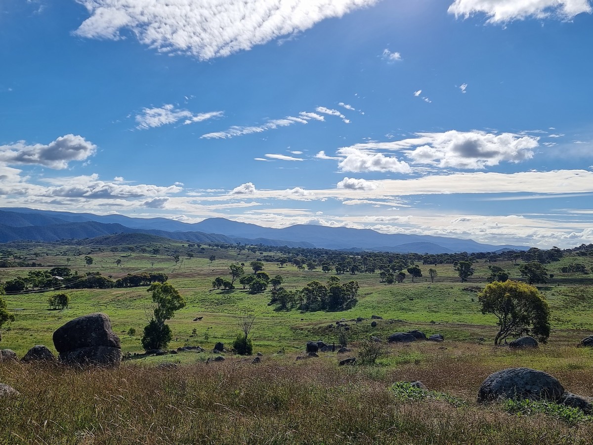 eBird Checklist - 5 Apr 2026 - Cooleman Ridge Nature Reserve--Arawang ...