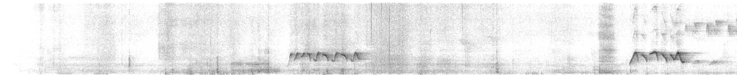 Scaly-breasted Cupwing - ML654246373