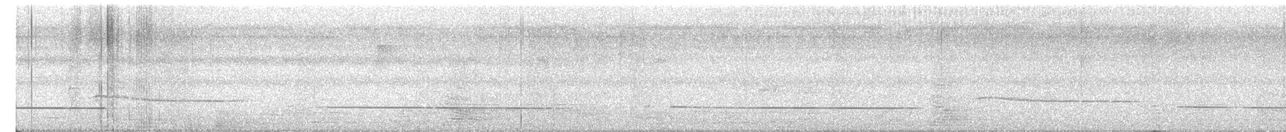 Common Iora - ML654273216