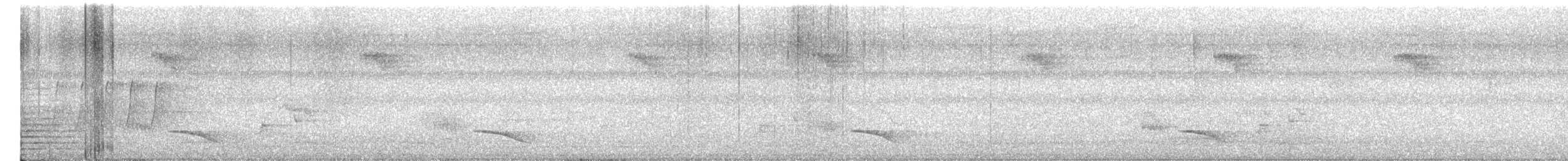Black-naped Monarch - ML654273256
