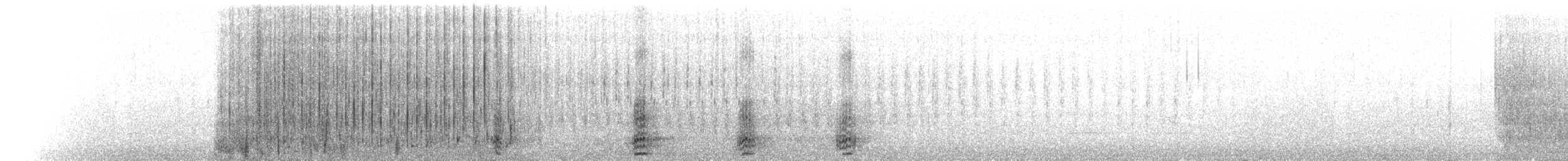 Bufflehead - ML654294246