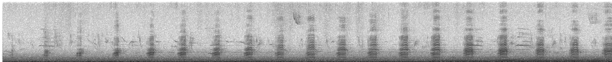 Stockente - ML654295122