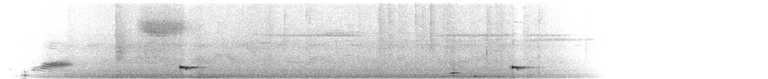 Ok Kuyruklu Manakin - ML654296635