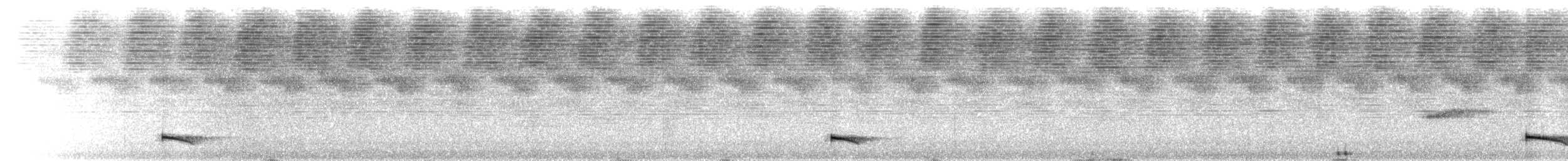 Ok Kuyruklu Manakin - ML654296636