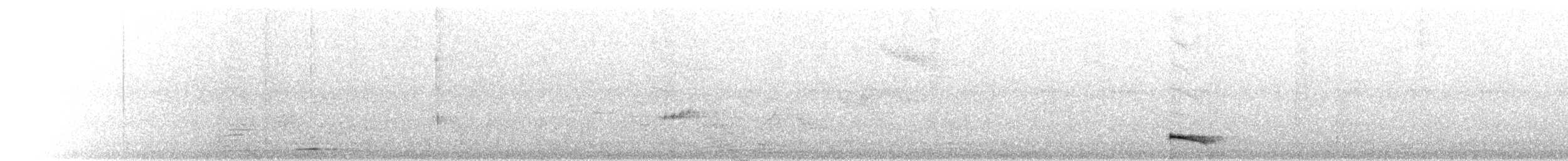 Ok Kuyruklu Manakin - ML654296637