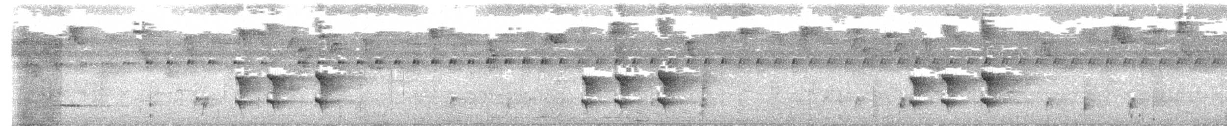 Western Woodhaunter - ML654298433